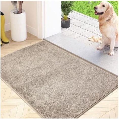 Paillasson Attrape-Poussière, Tapis de Sol Antidérapant Lavable en Machine, Tapis d'Entrée avec Microfibres Douces Absorbantes pour Chien, Entrée, Porte et Couloir, Beige, 60 x 90 cm (1/5)