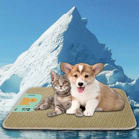 Tapis rafraîchissant pour chiens et chats, tapis rafraîchissant pour chiens, tapis rafraîchissants pour chiens et chats, tapis en rotin, 45 x 35 cm (1/5)