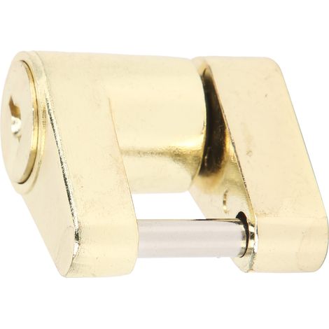 Antivol de remorque compact, dispositif de sécurité universel pour voiture et camping-car. (1/5)