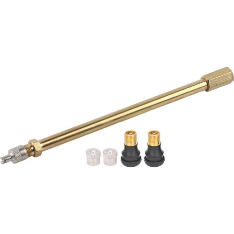 Valve sans chambre pour pneu avec tube multifonction pour scooter Xiaomi M365/PRO (1/5)
