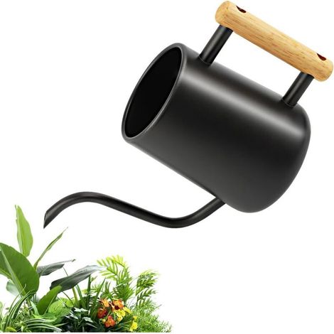 Arrosoir Petit 1L - Arrosoir pour Plantes Dintérieur avec Long Bec et Poignée en Bois Confortable - Arrosoir en Acier Inoxydable pour Plantes en Pot - Arrosoir de Jardin Noir pour I'intérieur
