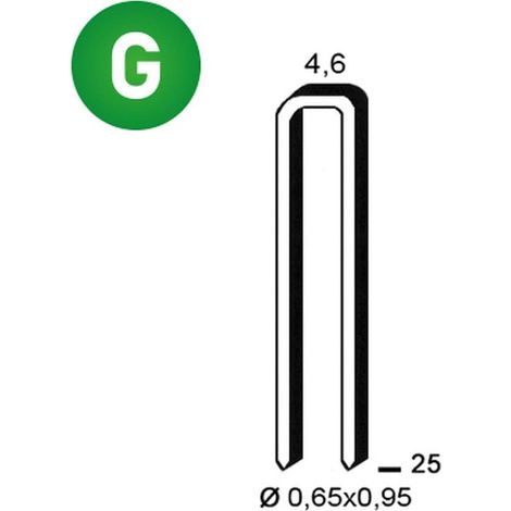 10 000 Agrafes Galvanisées Tb-25 - 4.95x25x0.84 mm - D-Work (1/4)