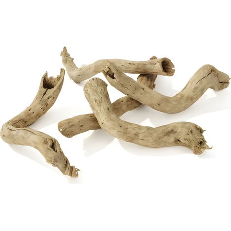 Getrocknete Mini-Wurzeln, 10 Stück im Glas, Floristengröße 7-12 cm (1/5)
