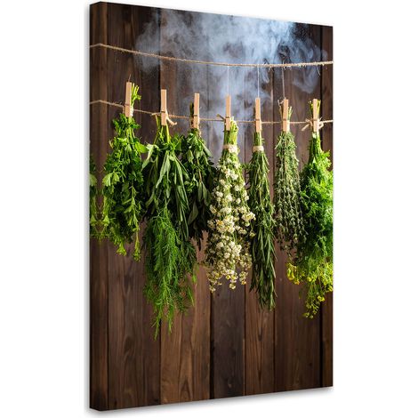 Wandbild Kräuter Gewürze Pflanzen 70x100 cm (1/5)