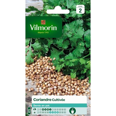 5875046 Pack de Graines Coriandre Cultivée (1/5)