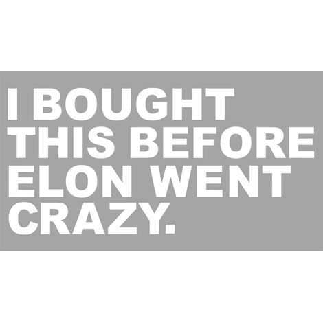 Autocollant pour voiture, « I Bought This Before Elon Went Crazy » pour fenêtres ou vernis, pare-chocs, en vinyle, durable et résistant aux intempéries, motif de regret (Blanc) (1/4)
