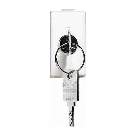 Interruptor de llave BTIAM5007D 1P 16AX 250 V CA
