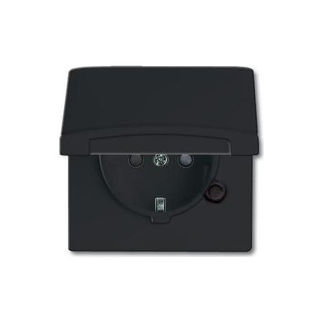 Busch-Jaeger 20 EUGKB-35-101 SCHUKO® Steckdosen-Einsatz mit Klappdeckel (1/5)