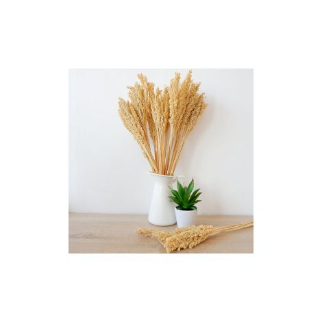 Bouquet d'herbes du Cantal - Naturel- Vendu par 6 (1/4)