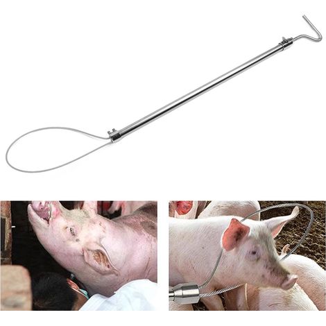 Soporte de barra de captura para lechones y cerdas con barra larga de acero inoxidable y cordón de sujeción para mayor seguridad y fácil manejo. (1/5)