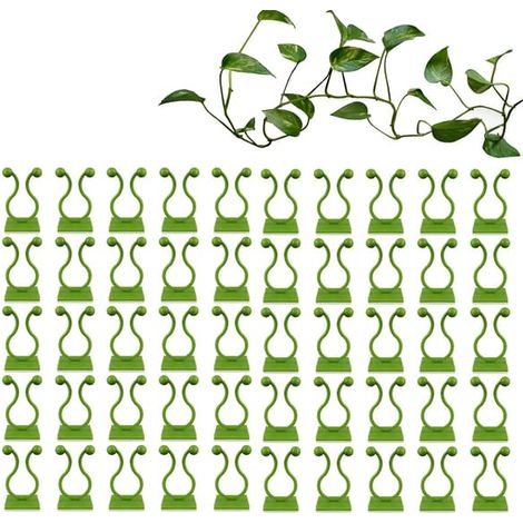 BelleRise - 50 clips muraux verts invisibles pour plantes grimpantes, avec crochet auto-adhésif, fixation branches de vigne 20 mm (1/3)