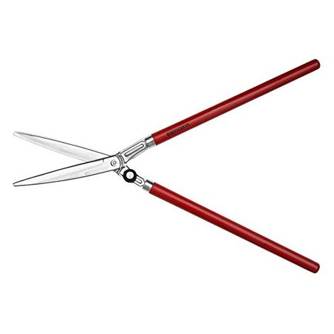Cesoie Da Giardinaggio Rosso / Argento 250 Millimetri (1/4)