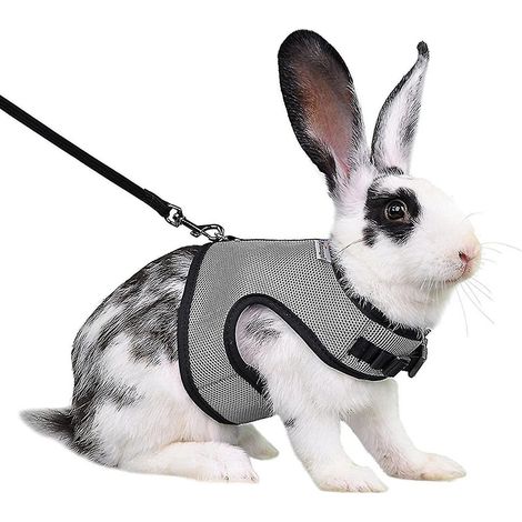 Harnais pour lapin, furet, rat et hamster, confortable et réglable, avec laisse et gilet en maille douce - Gris - Taille M (1/5)