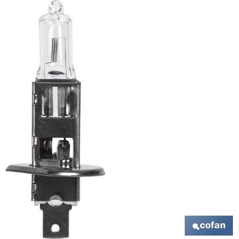Lampada alogena Cofan h1 (p14,5s) 24v 70w (1/2)