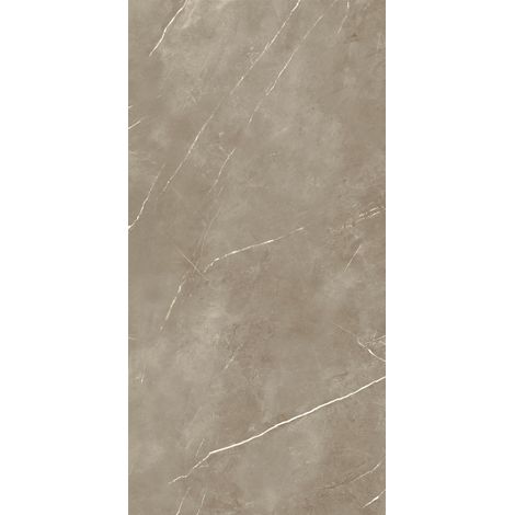 Grès Cérame Effet Marbre Royal Taupe Mat 60X120 - EPYT168 (Ceramishop.fr) (1/5)