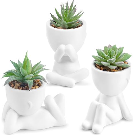 Der Rose Lot de 3 Plantes succulentes artificielles pour Salle de Bain, Chambre à Coucher, décoration d'intérieur (1/5)