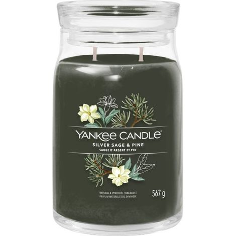 CANDELA GIARA GRANDE SILVER SAGE & PINE (1/2)