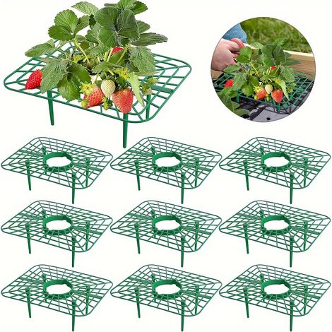 Lot de 10 supports carrés pour fraises - Supports en plastique, cadres de support pour fraises, garde les fraises propres (1/5)
