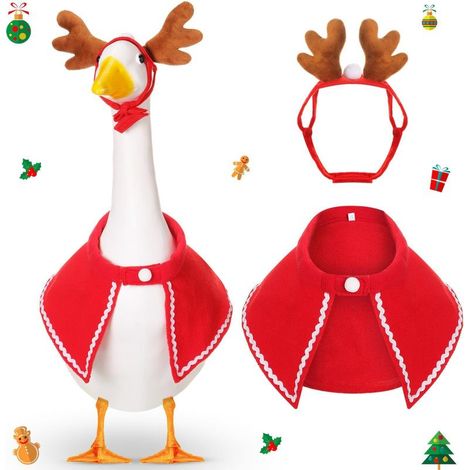 Irovami Costume oie Noël – chapeau renne, cape, décoration jardin extérieur (1/5)