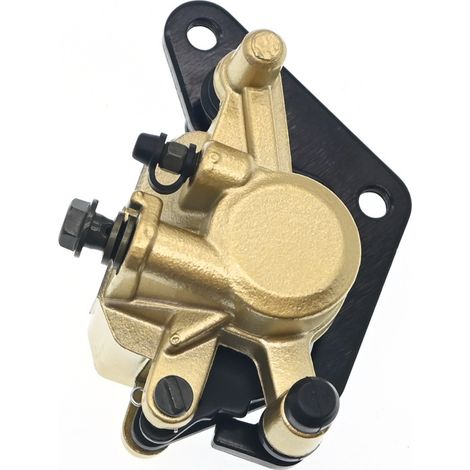 Unterer Bremssattel-Hauptbremszylinder für Yamaha Tianji Tianjian Tianjun Tianjun YBR125 JYM125K Motorrad (1/2)