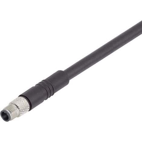 binder 79-3107-32-04 Sensor-/Aktor-Steckverbinder, konfektioniert M5 Stecker, gerade 2.00 m Polzahl