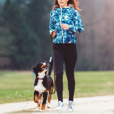 Laisse pour Chien,Laisse en Cuir avec Fermoir pour Chiens de Grande Taille,Moyenne et Petite Race (1/4)