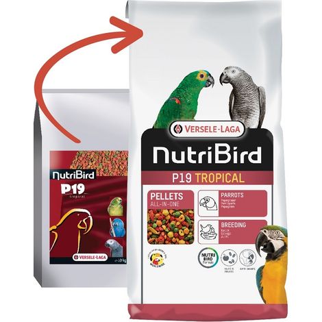 Nutribird p19 tropicale 10 kg