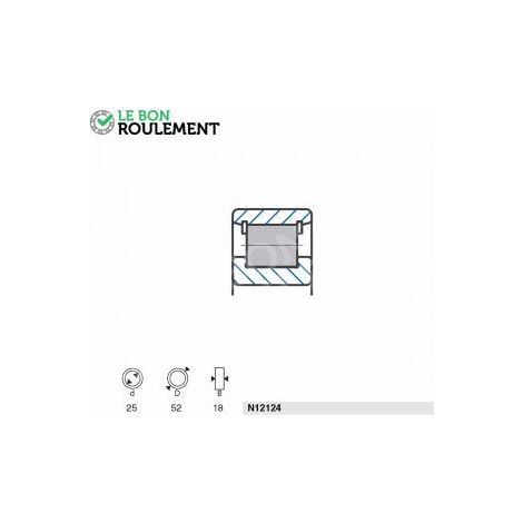 Roulement à rouleaux N12124-SNR