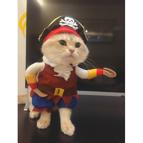 (M) Accessoires pour animaux de compagnie Vêtements pour chiens Vêtements de pirate debout Vêtements pour chiens (1/5)