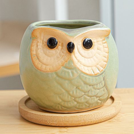 Pot de plantes mini succulente Owl en céramique avec plateau bambou - Ensemble 2 pièces (7.5x6.8cm & 5.8x6.8cm, vert/multicolore/blanc) (1/5)