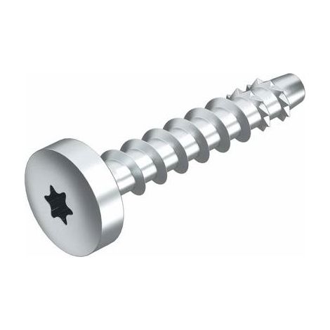 OBO Bettermann Ancoraggio a testa tonda con Panhead 6x50mm acciaio zincato elettroliticamente, 3498108