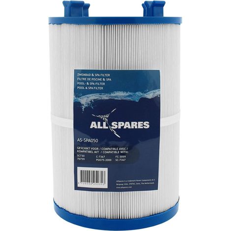 Filtre pour spa SC730 / 70759 / C-7367 (1/4)