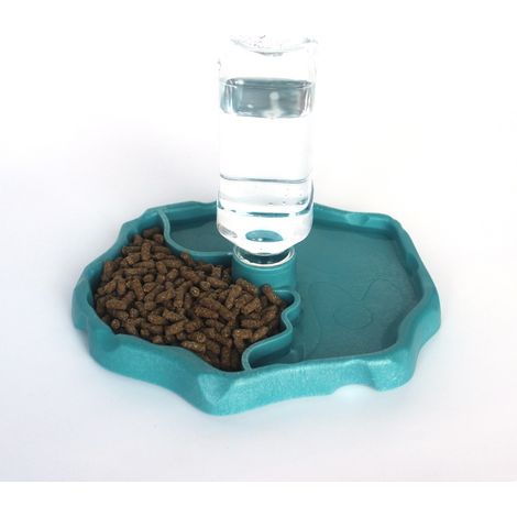 Distributeur Eau Reptile - Bol Nourriture 2 en 1 Anti-débordement - Pour Tortue Terrestre Gecko Lézard - Plastique PP Transparent - 1 Pièce (1/4)