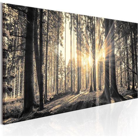 Tableau toile de décoration murale impression premium en 1 partie sur châssis en bois motif Rayon de soleil 120x40cm 110017921 (1/3)