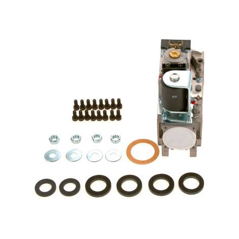 BOSCH Robinet de gaz, 87290117610