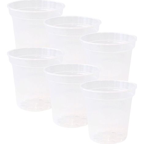 Transparente Anzuchttöpfe, 10 cm Durchmesser, mit Abflusslöchern, robuste, durchsichtige Kunststoff-Blumentöpfe, vielseitig einsetzbar für Zimmer- und Gartenpflanzen, 6er-Set
