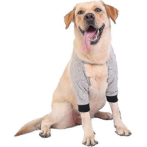 Attelles pour pattes avant de chien, protections pour coudes et talons, protègent contre les blessures et les entorses.-XXL-Grey (1/5)