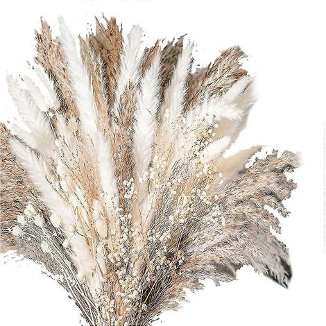 Bouquet de 100 fleurs séchées naturelles en herbe de la pampa, idéal pour une décoration florale de mariage. (1/5)
