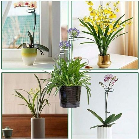 Set di 6 supporti per piante in ferro, struttura da giardino rialzata, supporto per piante rampicanti in vaso, attrezzi da giardinaggio essenziali per uso interno ed esterno (25 cm) -Crezuo