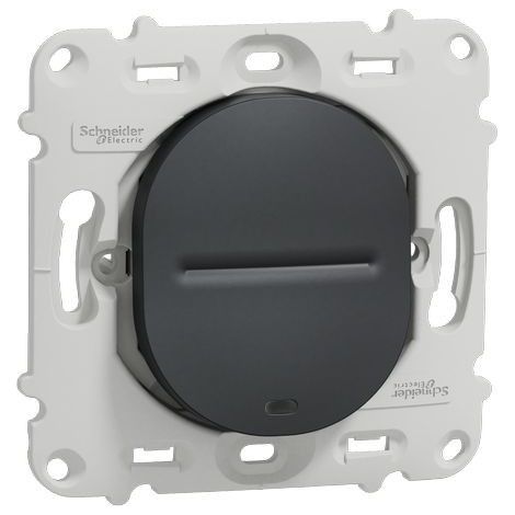 Ovalis - interrupteur va et vient - 10AX - lumineux - sans plaque -Anthracite (S461263)