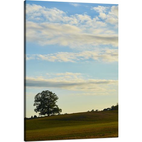 Lienzo impreso Naturaleza Árbol en un campo 80x120 cm Cielo Pradera Nubes
