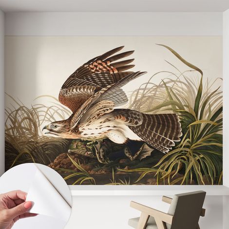 Papier peint autocollant adhésif avec imprimé motifs uniques apparence moderne Beauté ailée 152x104 cm (1/5)