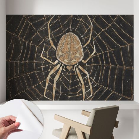 Papier peint autocollant avec imprimé pour cuisine facile à appliquer pour mur a motif Toile d'araignée 104x70 cm (1/5)