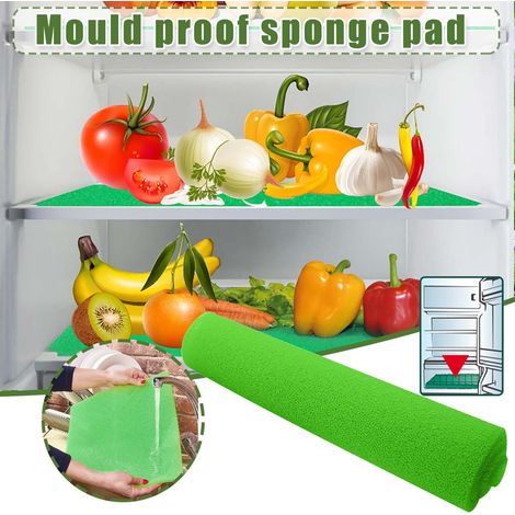 Tapis Absorbant Pour Réfrigérateur - Mousse Anti-Moisissure - 450 x 290 x 3 mm - Pour Compartiment Réfrigérateur ou Congélateur - 1 Pièce (1/5)