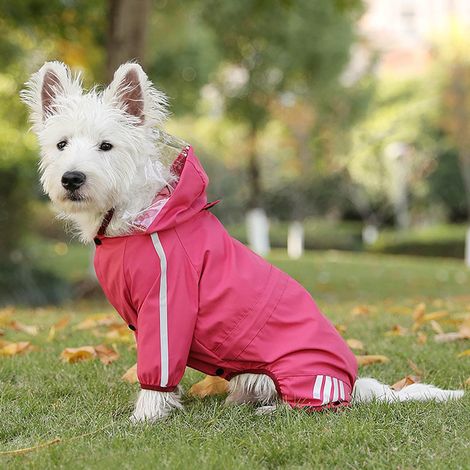 Veste Pluie Chien - Imperméable Respirant Antivente en Polyester - Pour Promenade Extérieure Hiver Printemps Automne - Taille 54 cm (21,3 Po) - 1 Pièce (1/5)