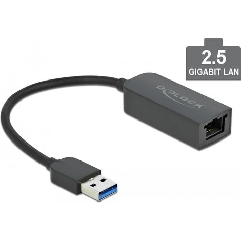 DELOCK Adapter USB Typ-A Stecker zu 2,5 Gigabit LAN kompakt (66646)