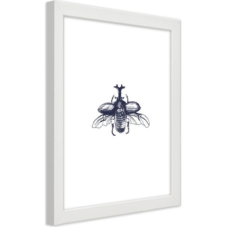 Quadro con cornice, Scarabeo volante - 40x60 (1/5)