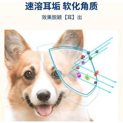 Les lingettes nettoyantes pour le visage des animaux sont douces et délicates, éliminent efficacement la saleté et laissent votre animal propre et frais. 100 lingettes par paquet. -- AUTLEAD (1/4)