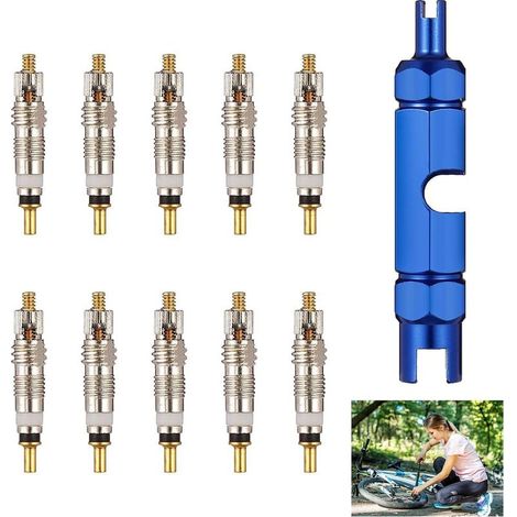 11 Pièces Demonte Obus Valve Presta Cores pour Remplacement Velo Moto Vis de Soupape Accessoires de Vélo et VTT Adaptateur Noyaux de Valve D'insertion de Vélo Français Outil pour Réparation Valves (1/5)