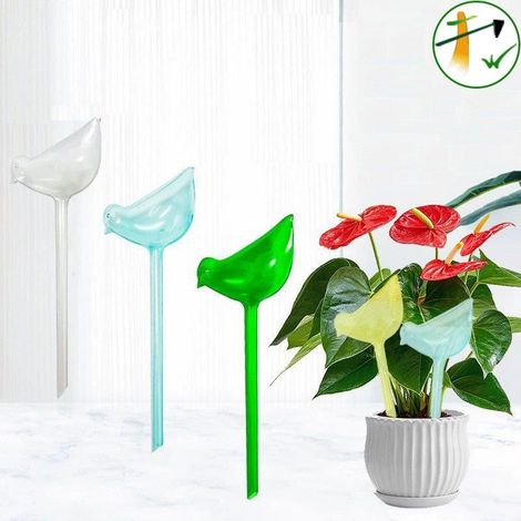 3 arrosoirs automatiques pour pots de couleurs assorties (1/5)